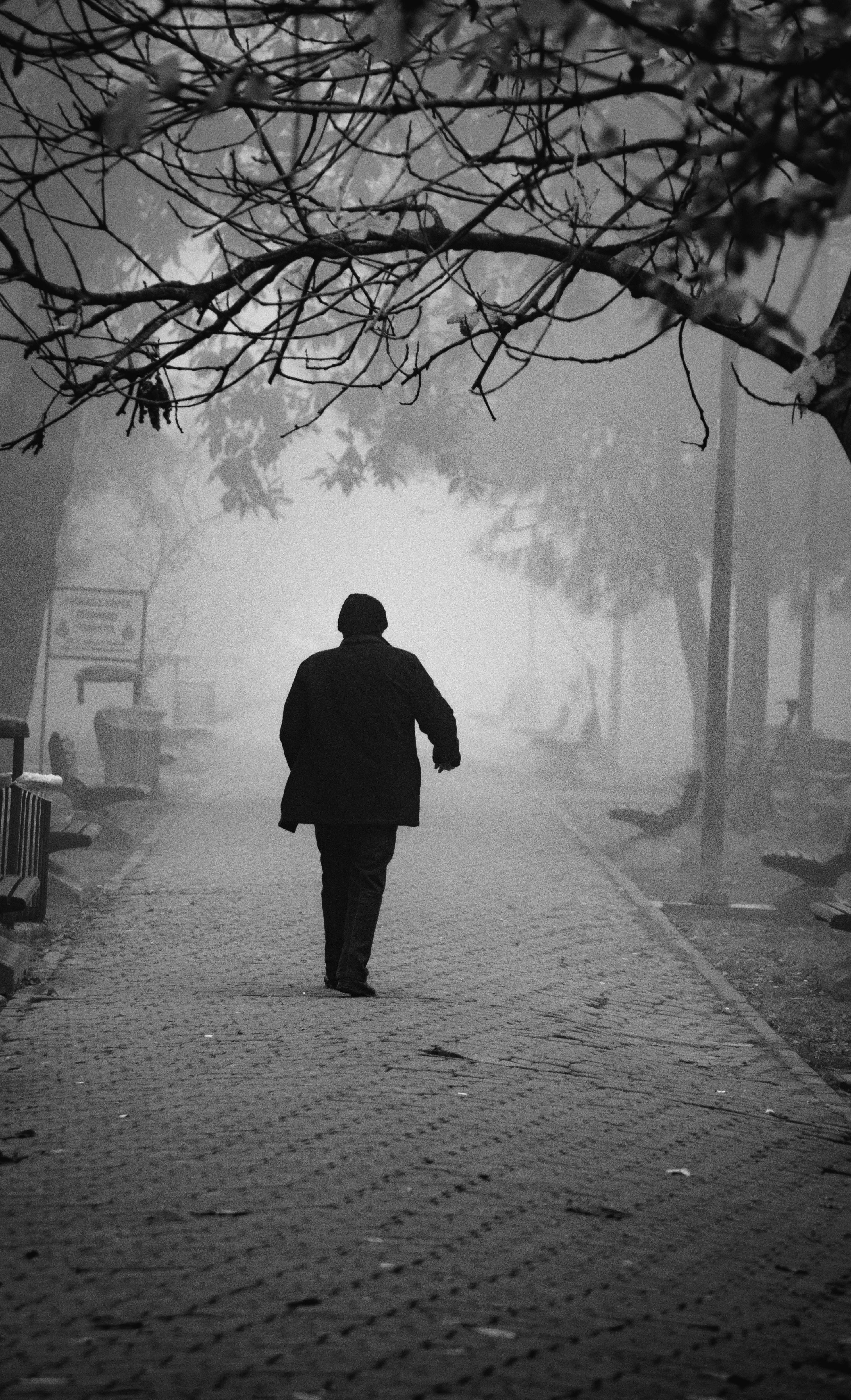 Nörobilim Penceresinden Şiddet: Travma Beynimizi ve Bedenimizi Nasıl Yeniden Kabloluyor?